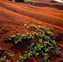 《巫师3》中文配音片段首次曝光