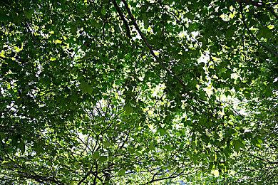 肉鸽与台球结合 《Ballardo》2025年第一季度登陆PC